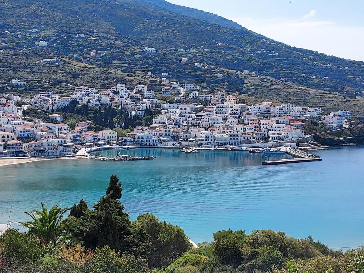 Villa Arni Andros - Βίλα Αρνη Batsíon Exteriör bild