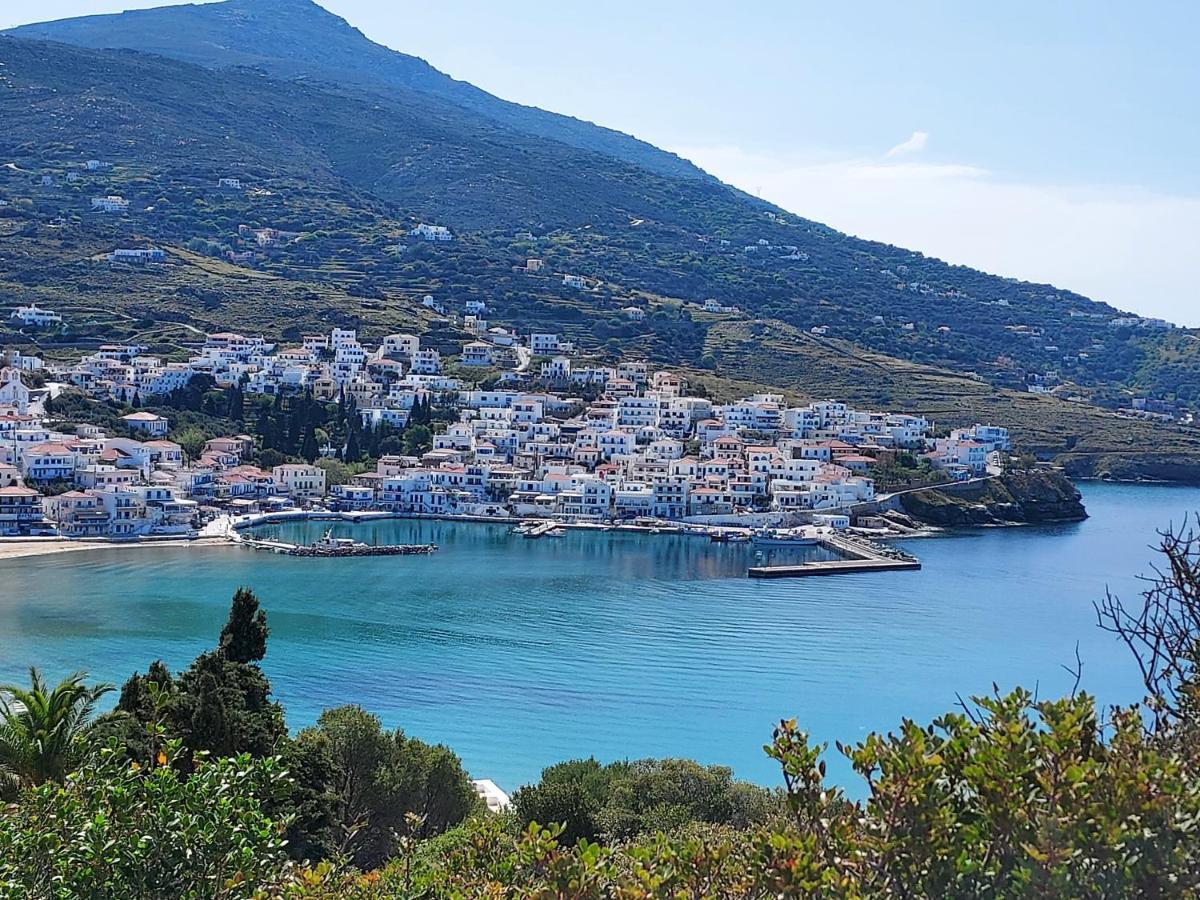 Villa Arni Andros - Βίλα Αρνη Batsíon Exteriör bild