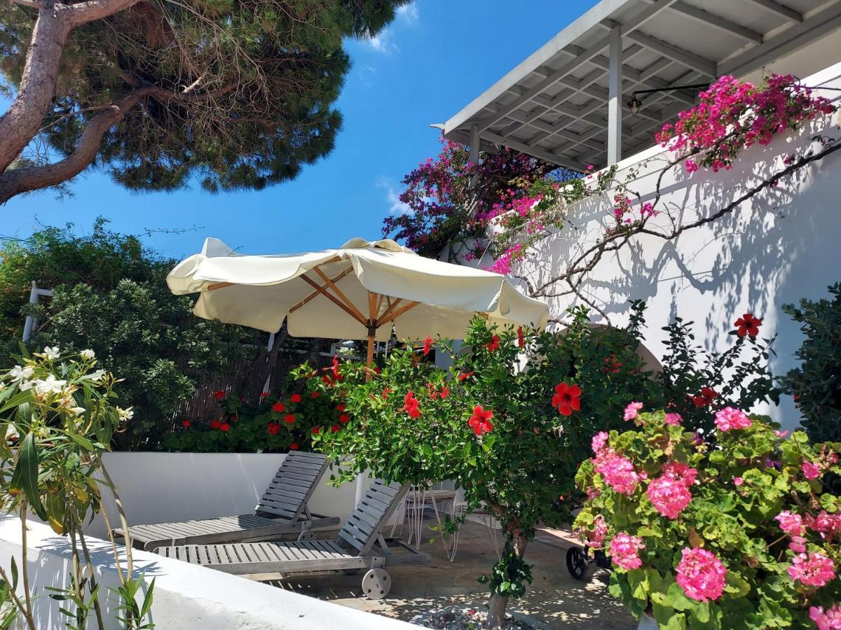 Villa Arni Andros - Βίλα Αρνη Batsíon Exteriör bild