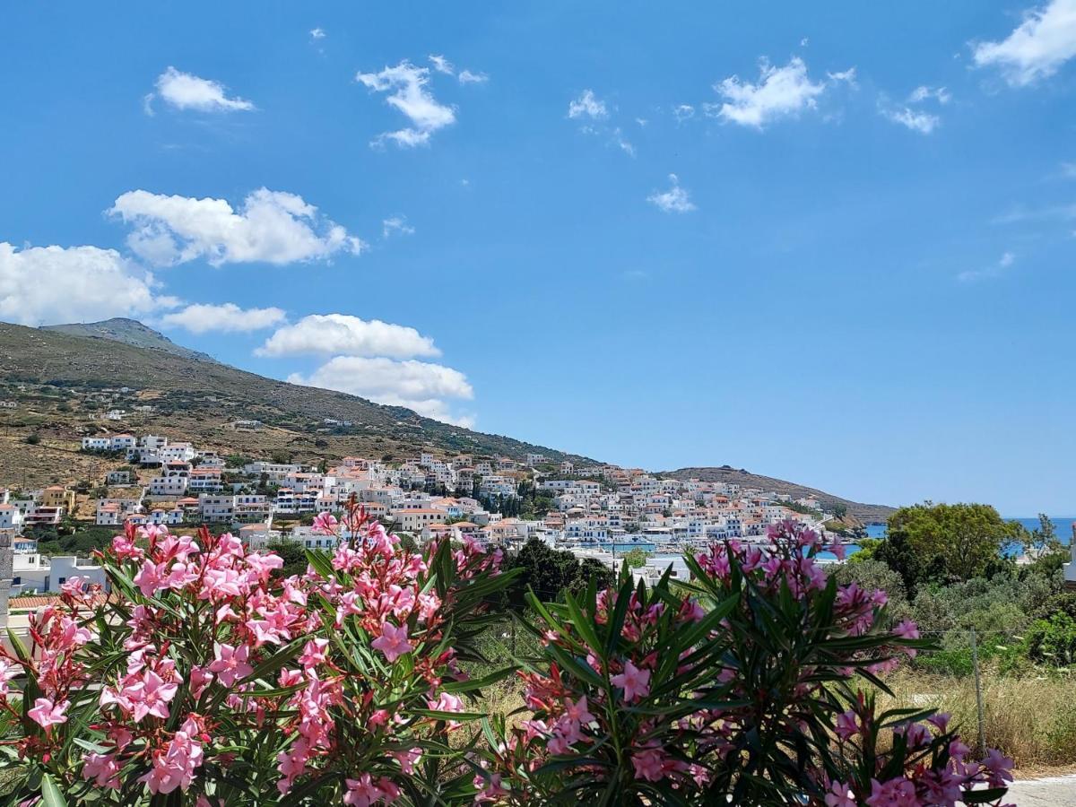 Villa Arni Andros - Βίλα Αρνη Batsíon Exteriör bild