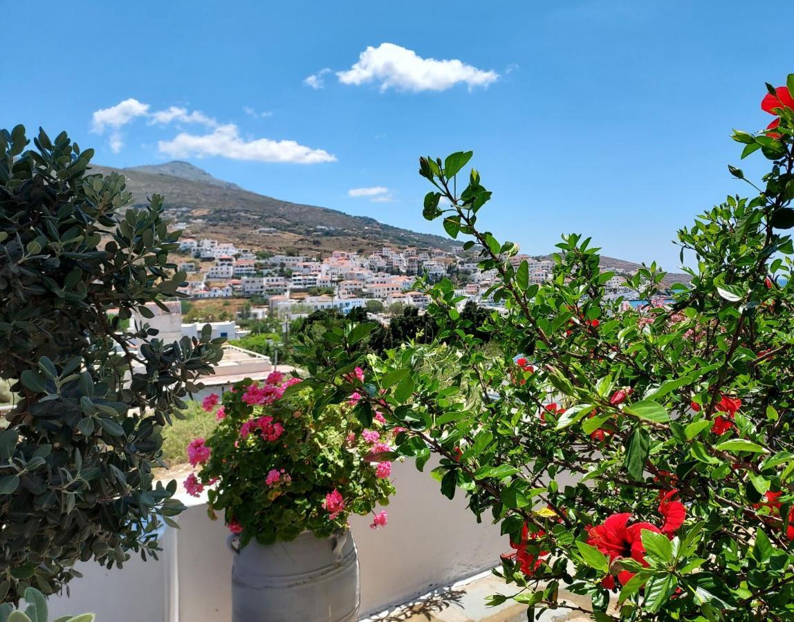 Villa Arni Andros - Βίλα Αρνη Batsíon Exteriör bild