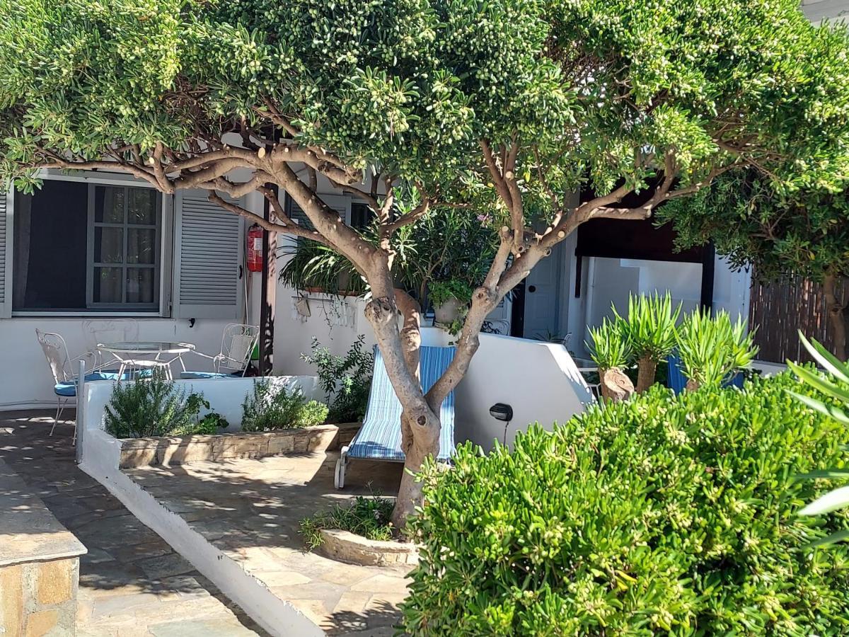 Villa Arni Andros - Βίλα Αρνη Batsíon Exteriör bild