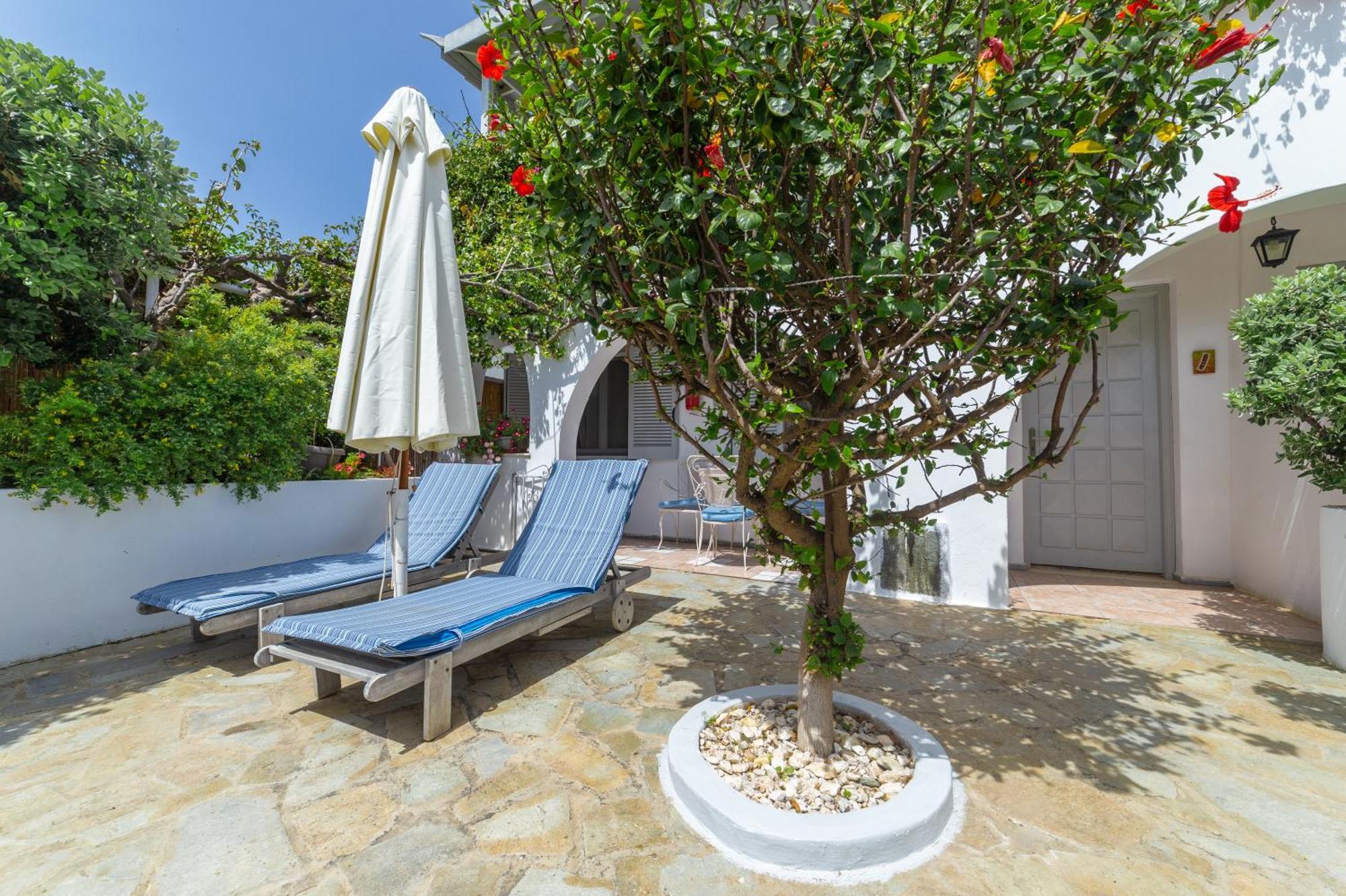 Villa Arni Andros - Βίλα Αρνη Batsíon Exteriör bild