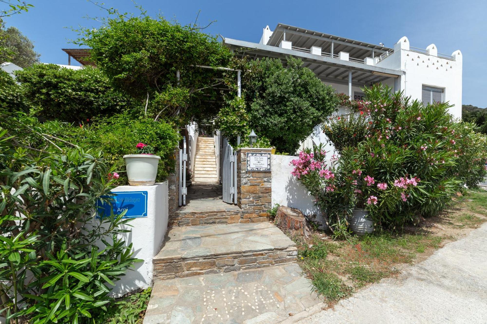 Villa Arni Andros - Βίλα Αρνη Batsíon Exteriör bild