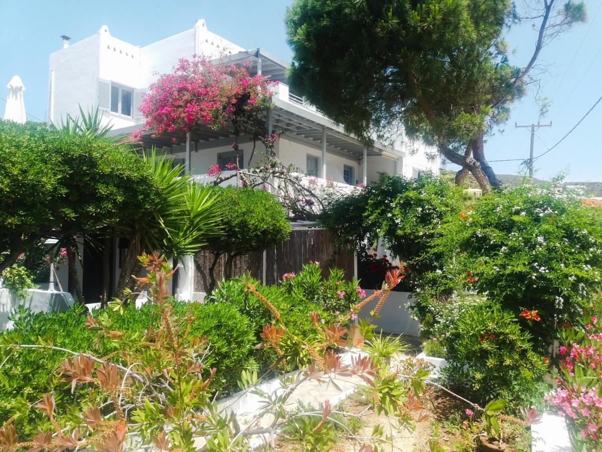 Villa Arni Andros - Βίλα Αρνη Batsíon Exteriör bild